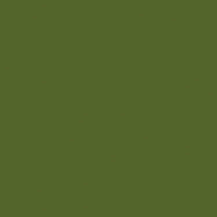 F3007 Pale Olive swatch